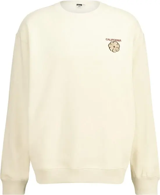 America Today | Stream Crew Sweater | Heren | XL