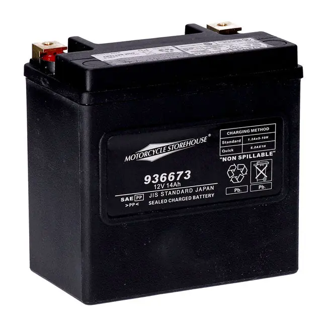 Batterie MCS 12V AGM 14Ah 240CCA