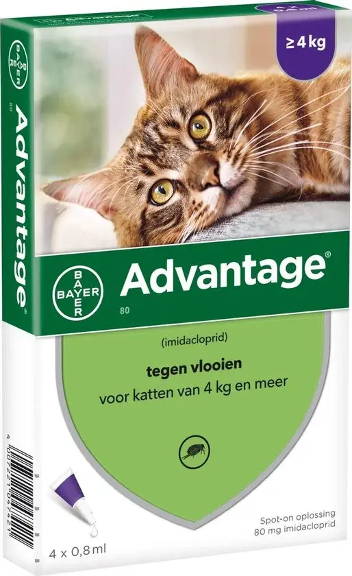 Bayer Advantage 80 Anti-Puces >4kg - Neuf Outlet