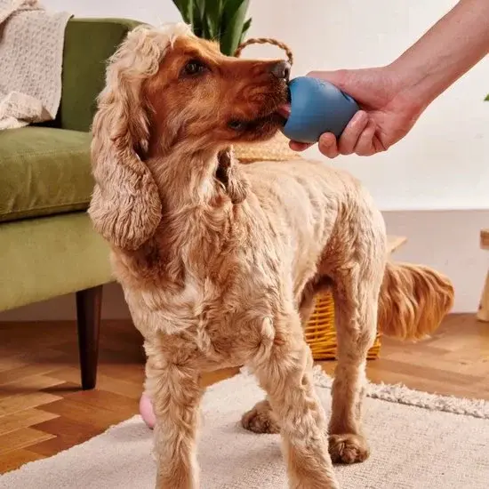 Beco Pets Boredom Buster Blauw Rubber - Nieuw Outlet