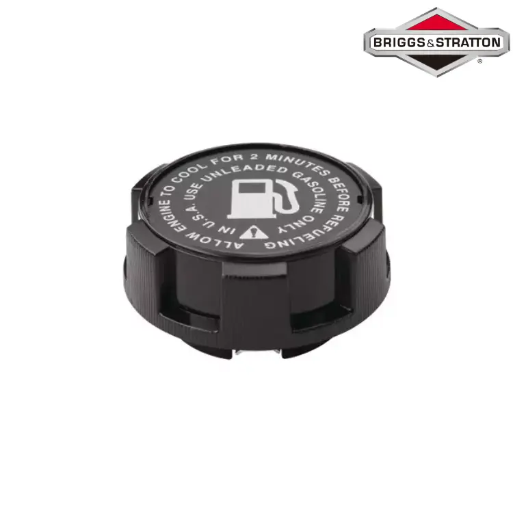 BOUCHON ORIGINE BRIGGS & STRATTON 494559