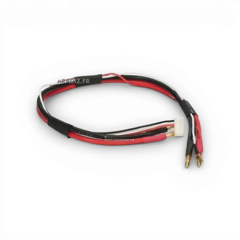 Câble de charge PK 4mm vers PK 4mm