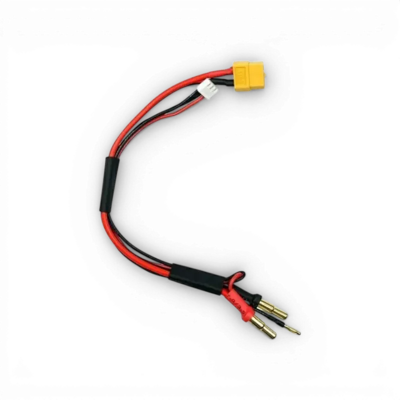 Câble de charge XT60 vers 4mm et 5mm pour Chargeur Sky RC