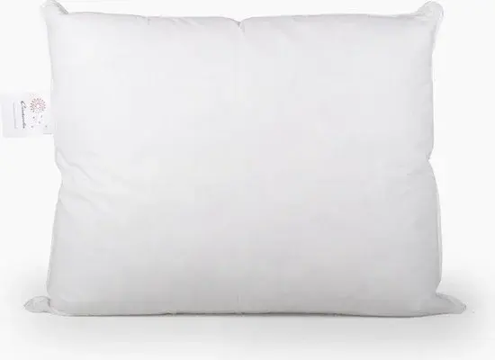 Cinderella Soul Oreiller Plumes 60x70cm - Neuf Outlet