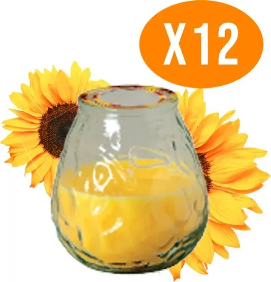 Citronella Kaars in Glas Voordeelbundel 12 stuks - Nieuw Outlet