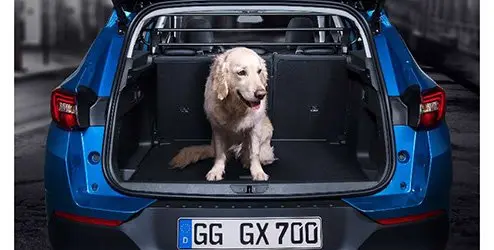 Grille de séparation pour espace de chargement - Opel Grandland