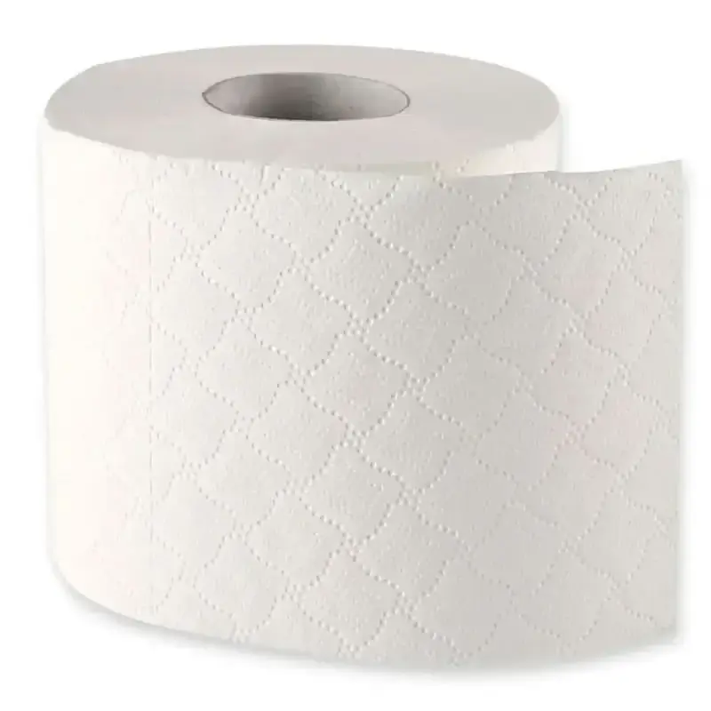 HygoClean Papier toilette 3 plis Petit rouleau 72 rouleaux 250 feuilles