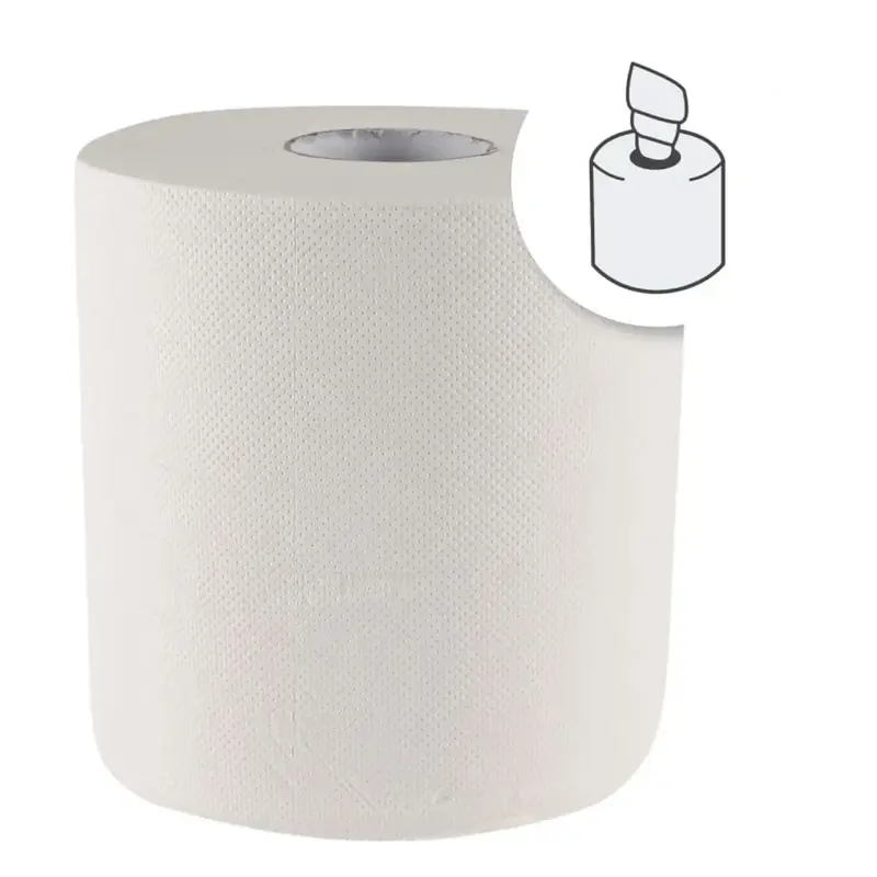 Hygoclean Rouleaux d’essuie-mains papier déroulement intérieur 2 plis perforé blanc 6 rouleaux