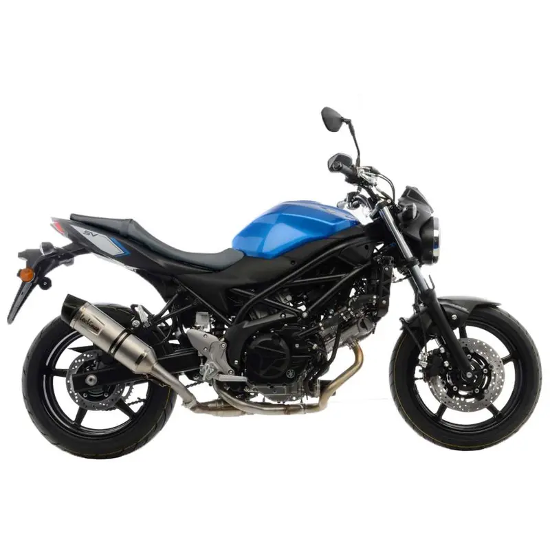 LeoVince LV One Slip-On Muffler pour Suzuki