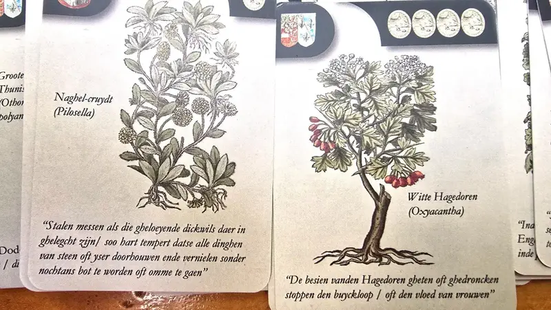Lobelius Kaartspel Botanica - Nieuw