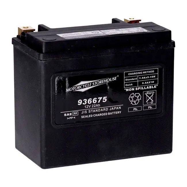 MCS 12V AGM Battery 22Ah Left+ 325CCA