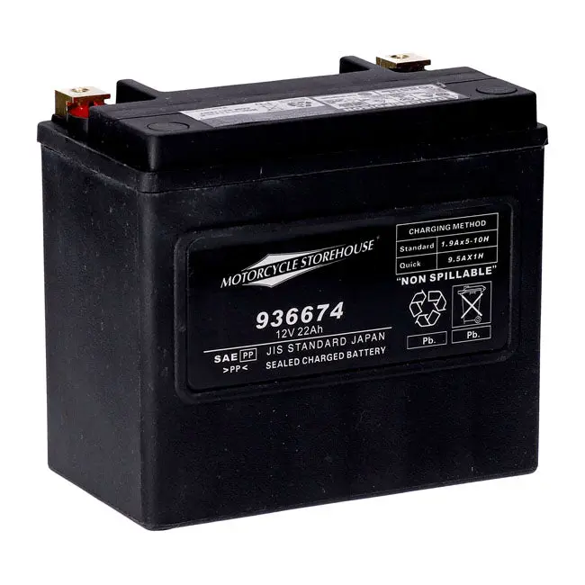 MCS Batterie AGM 12V 22Ah 325CCA