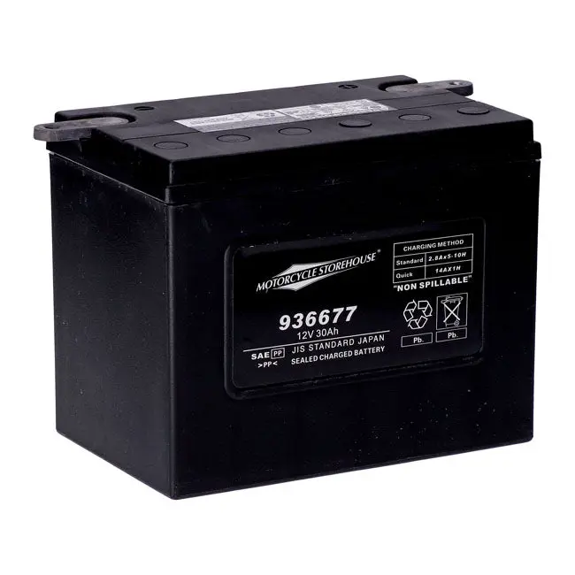 MCS Batterie AGM 12V 30Ah 370CCA