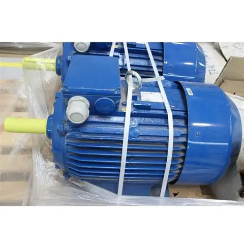 Moteur 15 kW, 1 450 tr/min pour système lavage châssis SG 160L-4