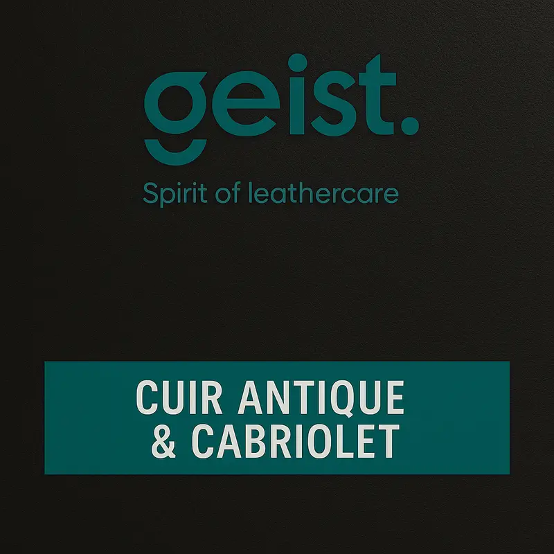 Pack Entretien Cuir Antique & Cabriolet Geist