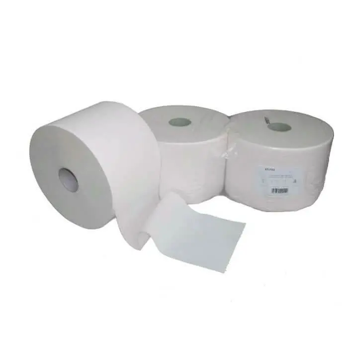 Papier d'essuyage 2 plis 1000 feuilles blanc cellulose 2 rouleaux