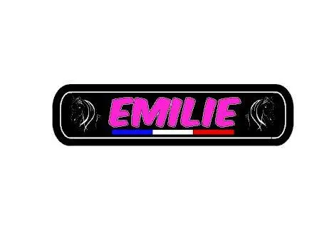 plaque lumineuse EMILIE