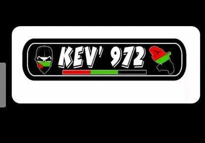 Plaque lumineuse KEV 972