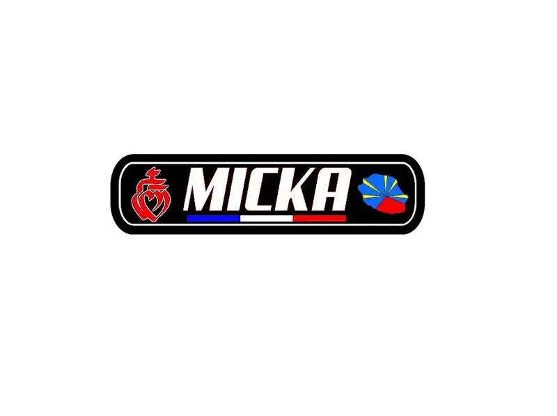 plaque lumineuse MICKA