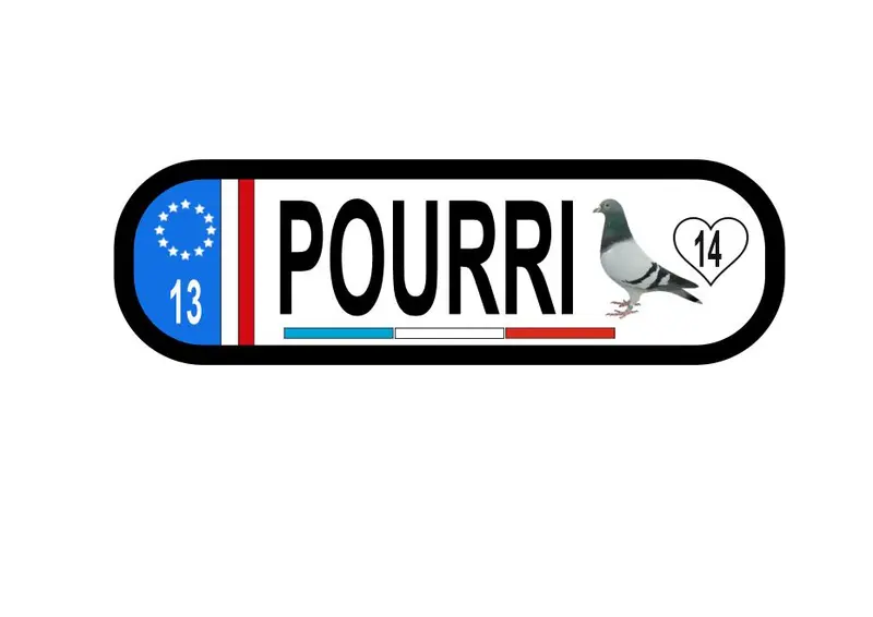 PLAQUE LUMINEUSE POURRI
