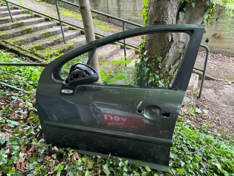 Porte avant gauche Peugeot 207