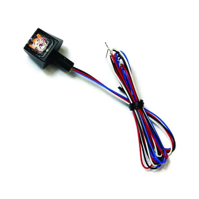 Rough Crafts X Ion LED 3 en 1 Taillight Noir