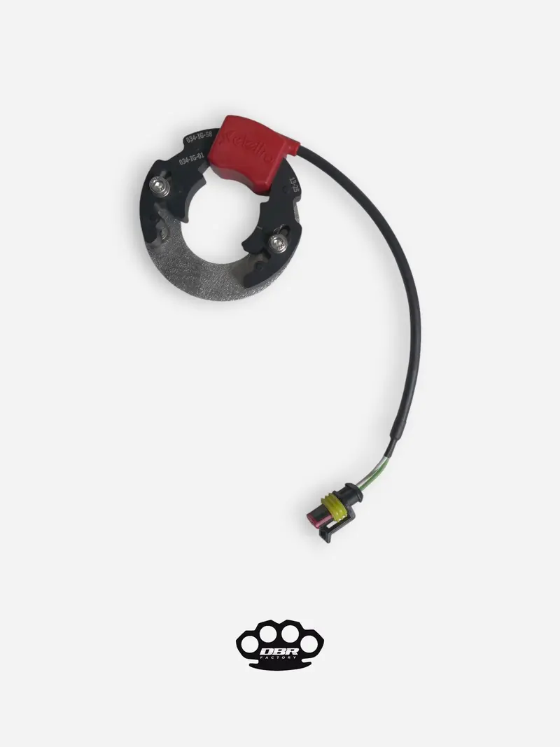 Stator Selettra - KTM Sx 50 Minicross avec Plaque d'Adaptation Carter