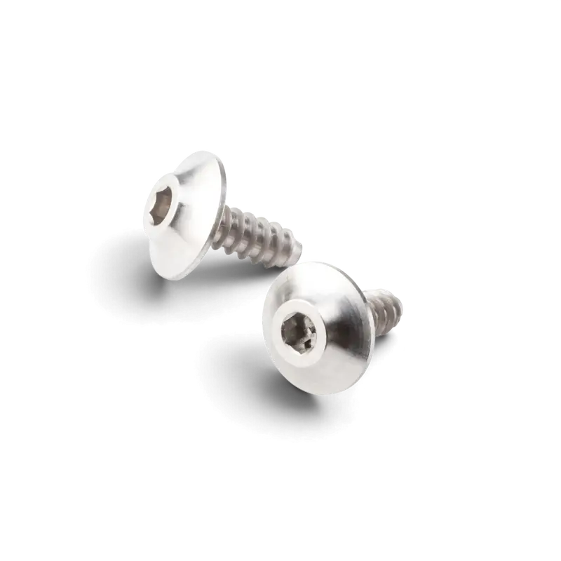 Vis autotaraudeuses SPM titane M2.5x5 mm (2 pièces) – 8810 Style