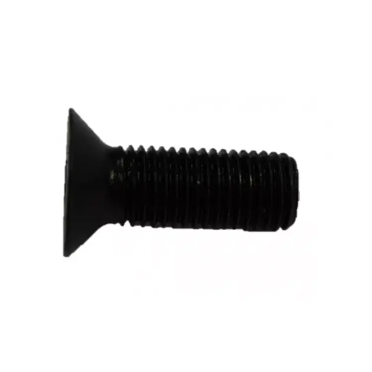 VIS DE LAME M20 x55 40100037