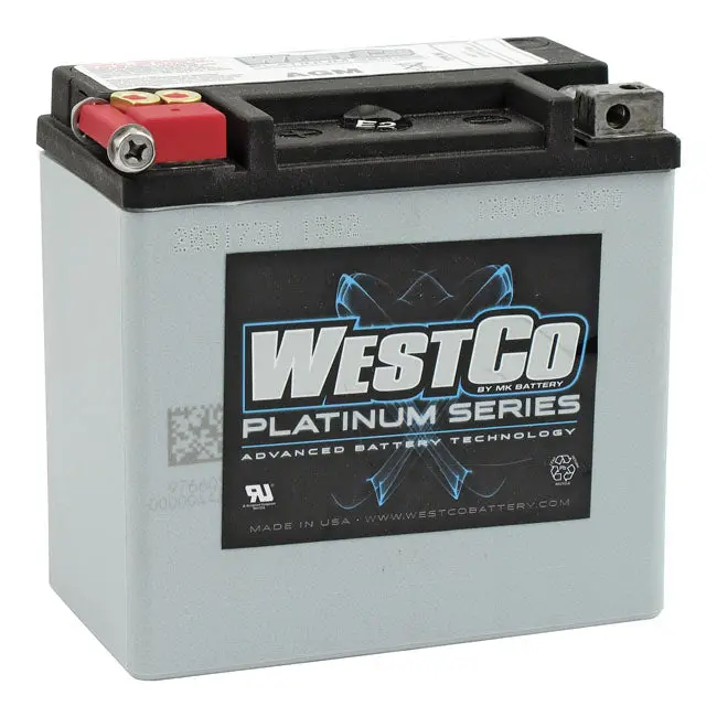 Westco Batterie AGM 12 Volt 12Ah 220CCA