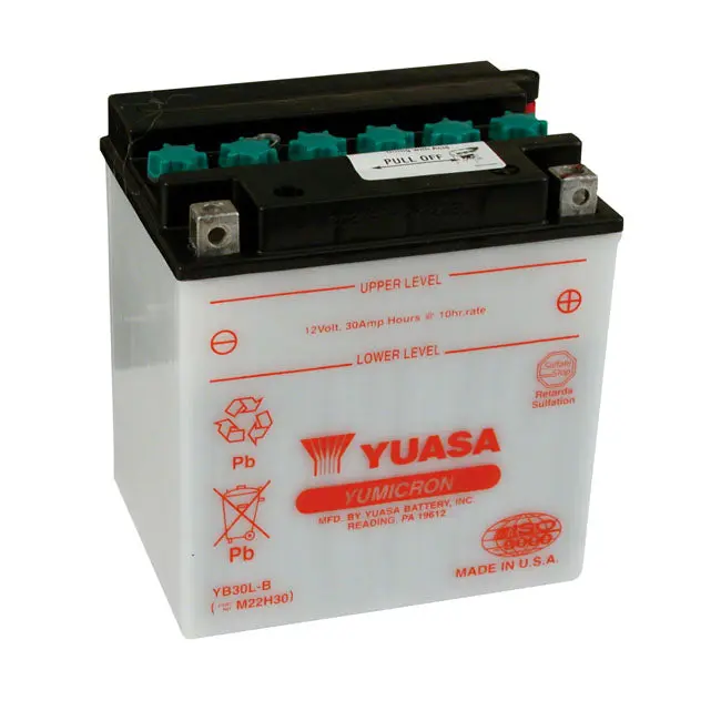 Yuasa Yumicron 12V Batterie Acide Plomb 30Ah 300CCA