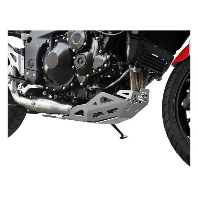 Zieger Engine Guard Silver Triumph 06-20 Tiger 1050/Sport